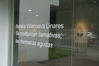 #Artista Natalia Villanueva: 
#«La importancia del gesto único».
Entrevista de Maria Rosa Jurado

Guayaquil.- La artista peruano francesa Natalia Villanueva Linares (Francia, 1982) exhibe sus obras por primera vez en Ecuador gracias a Galería DPM, con la muestra titulada «Se multiplican llamativas las hermanas agudas». 