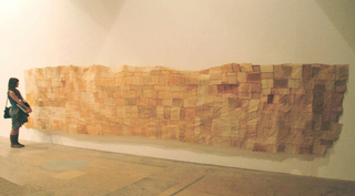 Palabra muda, 2008 by Natalia, tela cosida a la mado. El teñido natural, color y textura de la piel