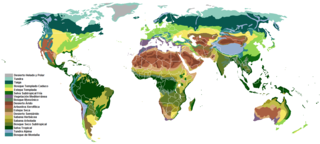 Conjunto de ecosistemas que hacen vida en una zona geográfica determinada